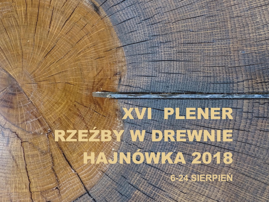 okładka publikacji ze zdjęciem przekroju drewna na całej powierzchni; w prawym dolnym rogu żółty napis XVI Plener Rzeźby w Drewnie Hajnówka 2018 6-24 sierpień