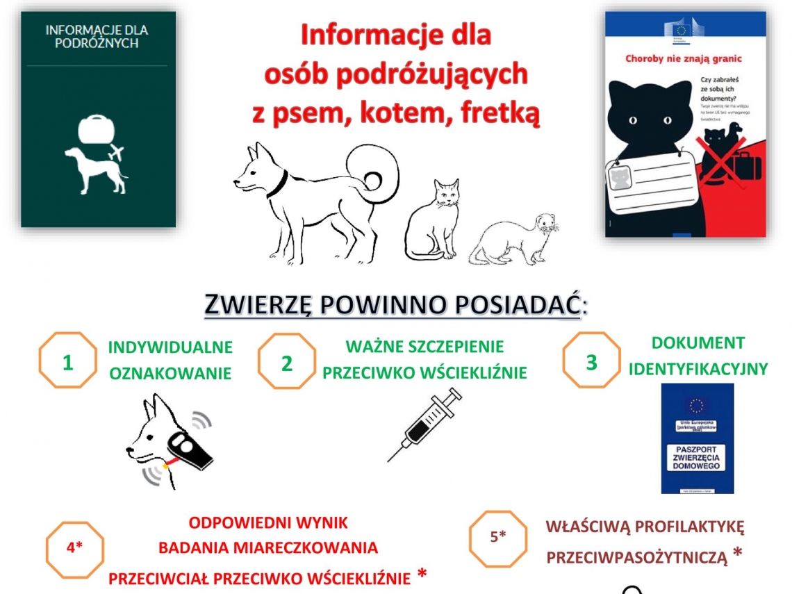 plakat - informacje dla osób podróżującymi z psem, kotem i fretką