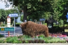 zdjęcie przedstawia figurę żubra ugormowaną z traw, ustawioną na jednym ze skrzyżowań miasta; wokół figury rosną trawy, kwiaty, po lewej stronie stoi tabliczka z napisem policja oraz znak drogowy z białym napisem Białystok na zielonym tle