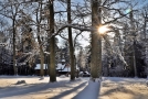 zza starych drzew przykrytych śniegiem wyłania się nieśmiało budynek cerkiewki; nad nimi roztaczają się promienie zimowego słońca