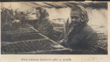 skan czarno-białego zdjęcia, na którym znajdują się dwie kobiety pielęgnujące rabaty kwiatowe