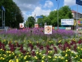 śród kolorowych kwiatów na rondzie znjadują się również tablice z grafiką pszczół