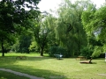 Park Miesjki, na zdjęciu widać hamak, leżaki i ławki.