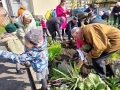 dzieci z babciami i dziadkami podczas sadzenia i podlewania roślin