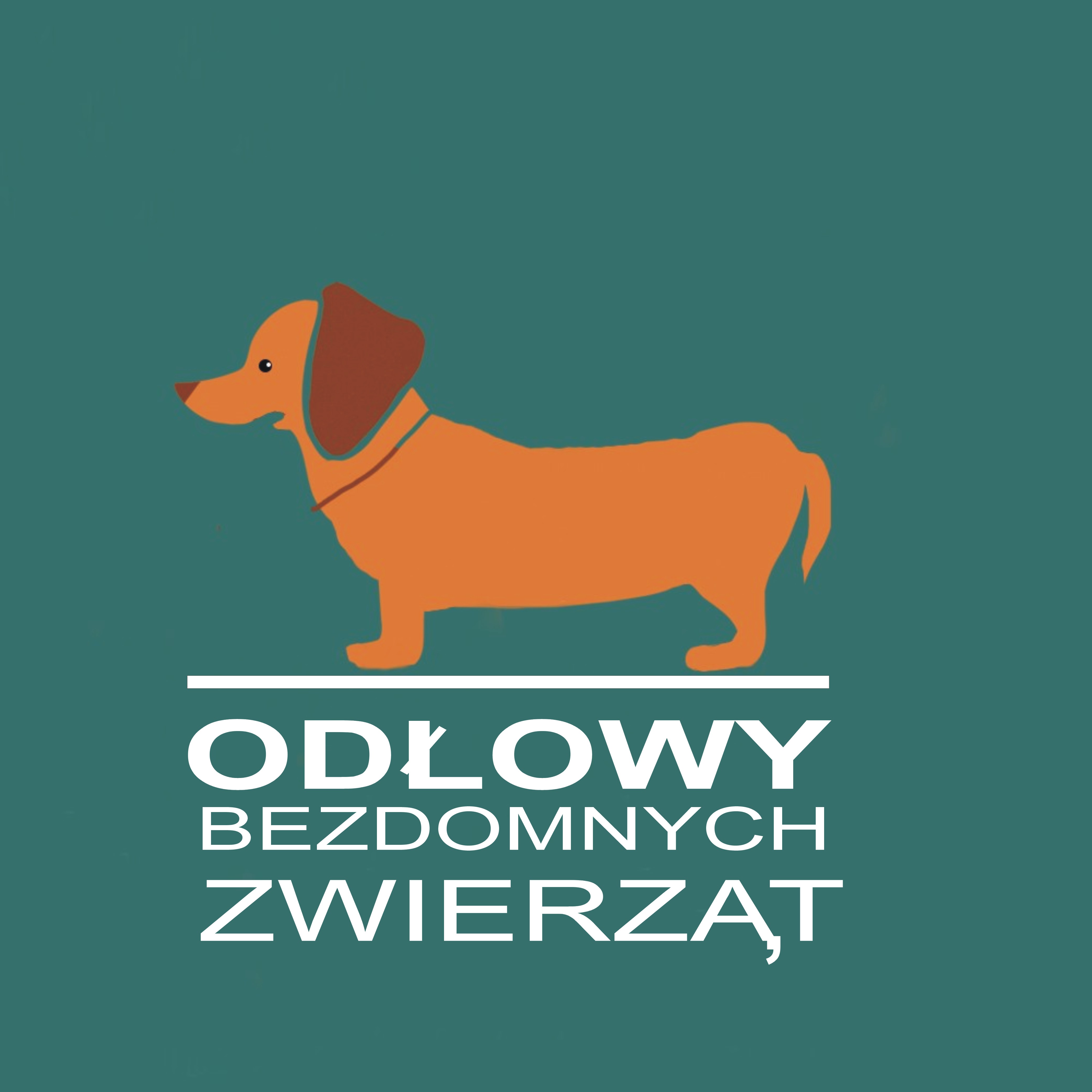 grafika pomarańczowego psa na zielonym tle . Na dole napis: odłowy bezdomnych zwierząt