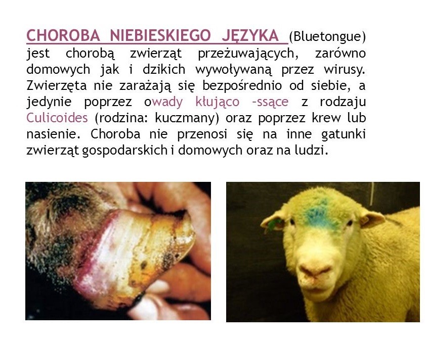 informacja  i grafika tematyczna