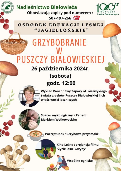 informacje o wydarzeniu, logo organizatora, grafika tematyczna