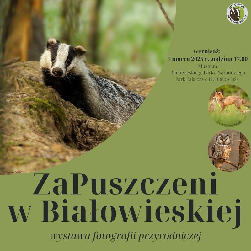 informacje o wydarzeniu, logo organizatora, grafika tematyczna