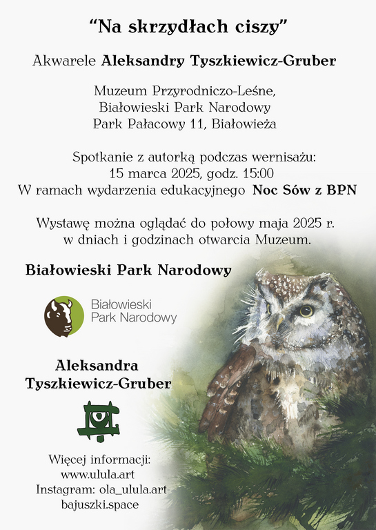 plakat zapraszający na wydarzenie informacje o wydarzeniu, logo organizatora, grafika tematyczna