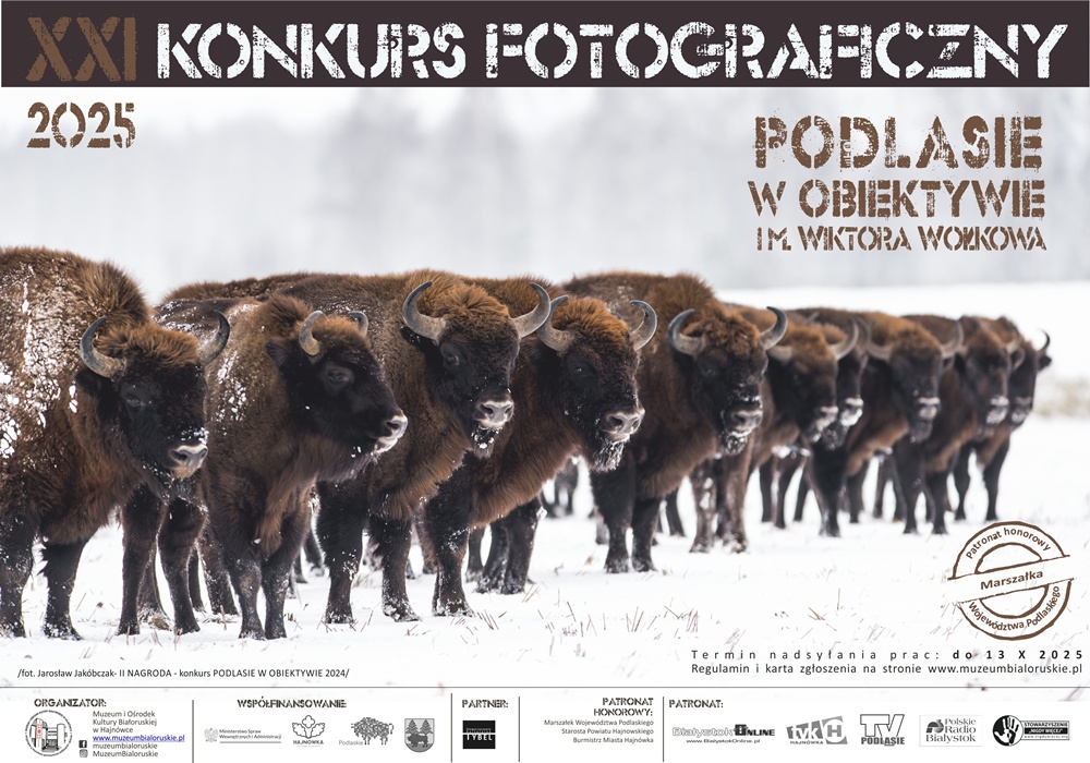 informacje o wydarzeniu, logo organizatora, grafika tematyczna