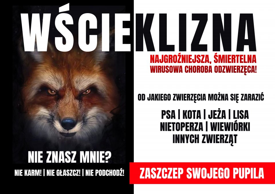 baner wścieklizna