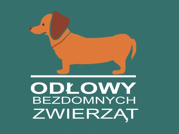 pomarańczowy pies na zielonym tle. Na dole biłay napis: Odłowy bezdomnych zwierząt