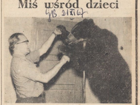 zdjecie mężczyzny z niedźwiedziem