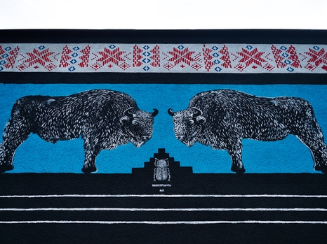 mural przedstawiajacy dwa żubry na niebieskim tle, u góry wzór białoruski