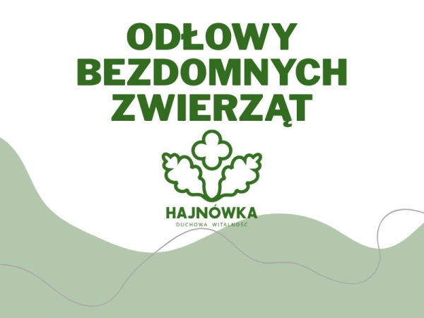 odlowy bezdomnych zwierząt