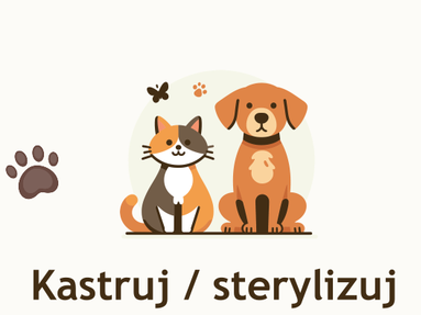 baner sterylizacja
