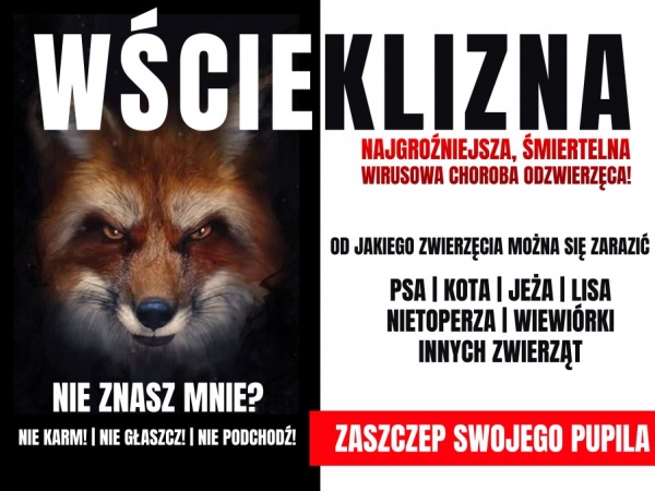 baner wścieklizna