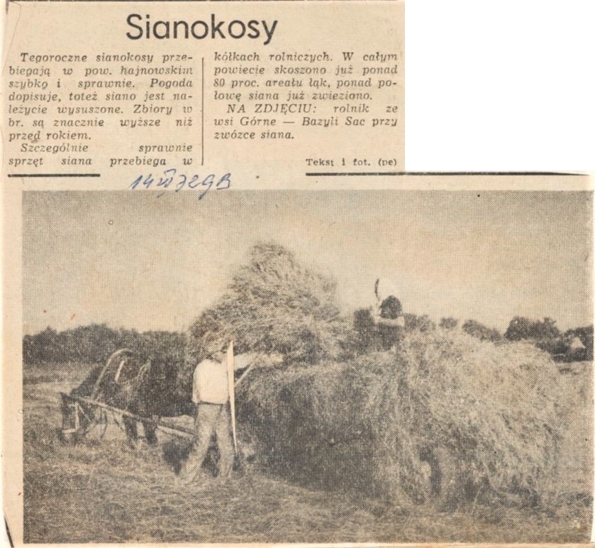 Na zdjęciu: rolnik ze wsi Górne - Bazyli Sac przy zwozie siana. [skan czarno-białego zdjęcia prasowego; na zdjęciu widoczna furmanka, na którą mężczyzna zarzuca siano].