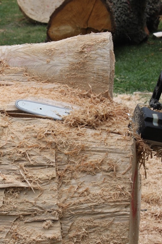 pierwsze cięcia piłą