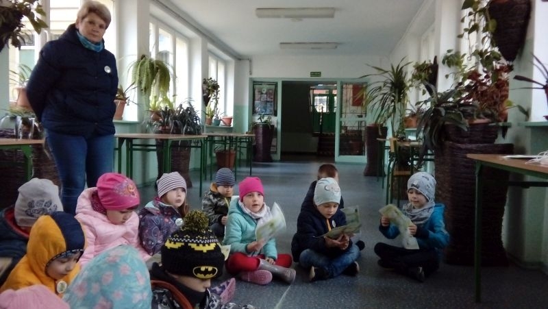 Projekt Edukacyjny Najstarsze Drzewa w Hajnówce