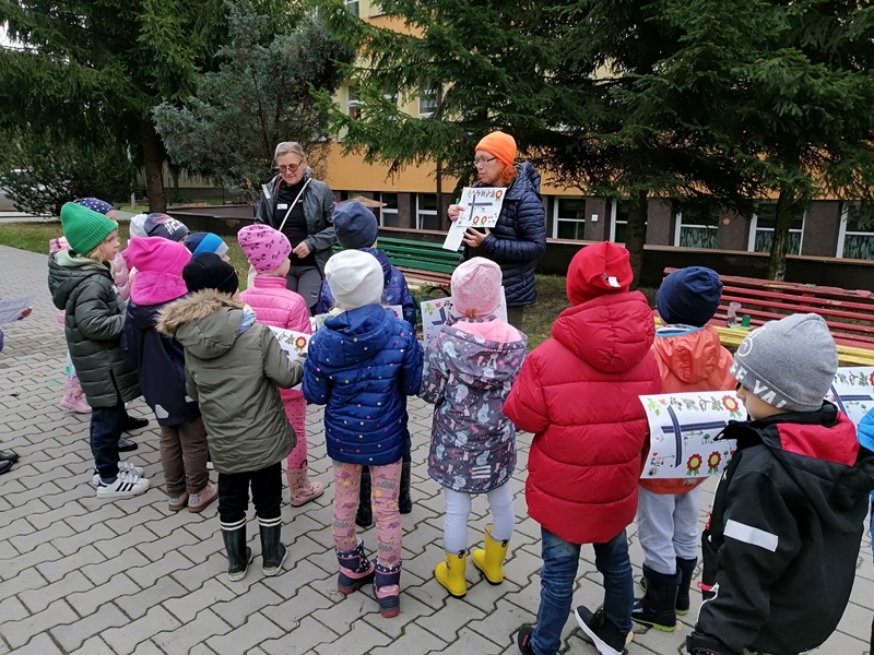 Projekt Edukacyjny Najstarsze Drzewa w Hajnówce