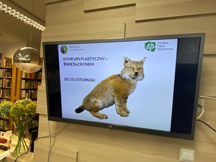 Poznajcie rysia – warsztaty dla dzieci w Miejskiej Bibliotece Publicznej im. Dr. T. Rakowieckiego