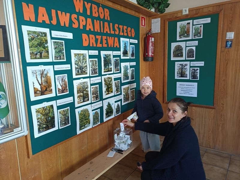 Wystawa i głosowanie