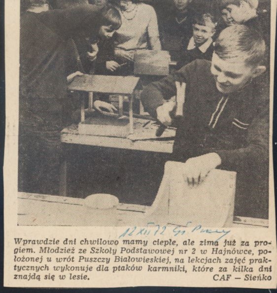 12.12.1972 r. Podpis pod zdjęciem: Wprawdzie dni chwilowo mamy ciepłe, ale zima już za progiem. Młodzież ze Szkoły Podstawowej nr 2 w Hajnówce, położonej u wrót Puszczy Białowieskiej, na lekcjach zajęć praktycznych wykonuje dla ptaków karmniki, które za kilka dni znajdą się w lesie. [skan czarno-białego zdjęcia prasowego; na pierwszym planie widoczny chłopak wbijający gwoździe, za nim w tle widać pozostałe dzieci budujące domek dla ptaków]