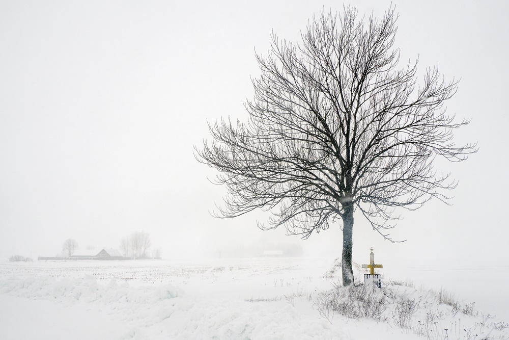 III I NAGRODA Adam Wysocki z Hajnówki; Przemijanie (koło Kotówki)