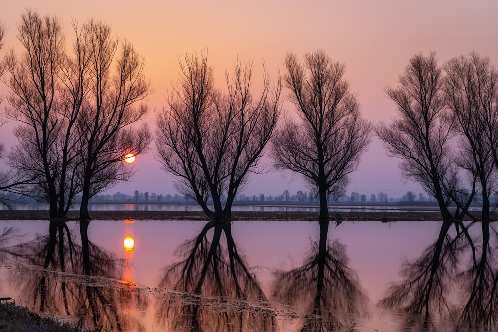 WYRÓŻNIENIE Małgorzata Pawelczyk z Białegostoku; Panny wodne (Grady Woniecko)