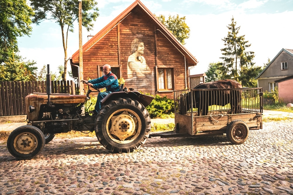 WYRÓŻNIENIE Magdalena Nasim z Przemyśla; Pierwsza z trzech Ann (Słuczanka)