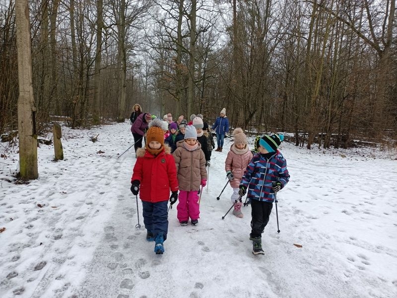 dzieci radzą sobie z kijkami używając ruchów naprzemiennych.