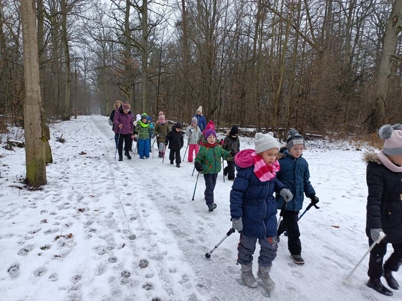 dzieci radzą sobie z kijkami używając ruchów naprzemiennych.