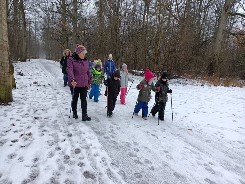 dzieci radzą sobie z kijkami używając ruchów naprzemiennych.