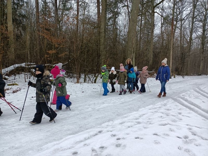dzieci radzą sobie z kijkami używając ruchów naprzemiennych.