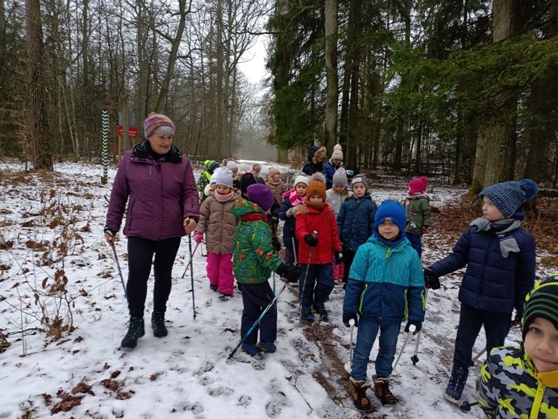 dzieci radzą sobie z kijkami używając ruchów naprzemiennych.