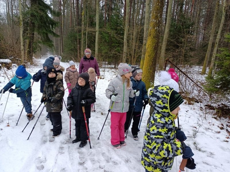 dzieci radzą sobie z kijkami używając ruchów naprzemiennych.
