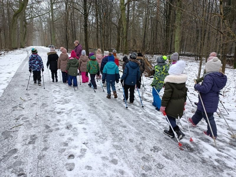 dzieci radzą sobie z kijkami używając ruchów naprzemiennych.