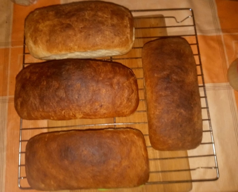 Na ruszcie leżą cztery świeżo upieczone bochenki chleba.