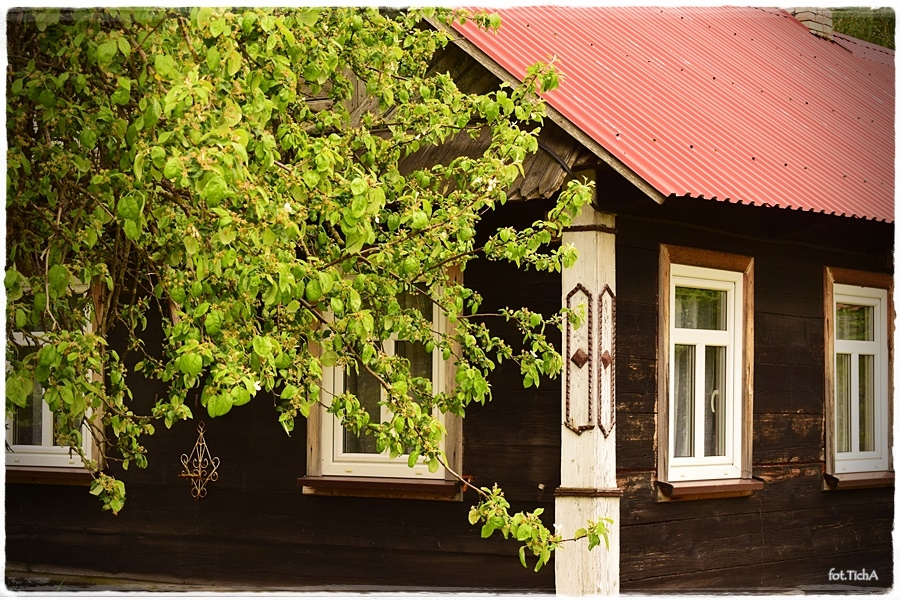 Podborowisko- I tam żywuć ludzi