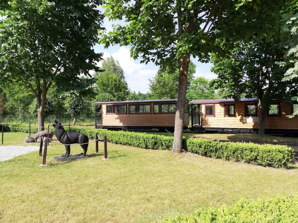 Zdjęcie wagoników kolejki leśnej.