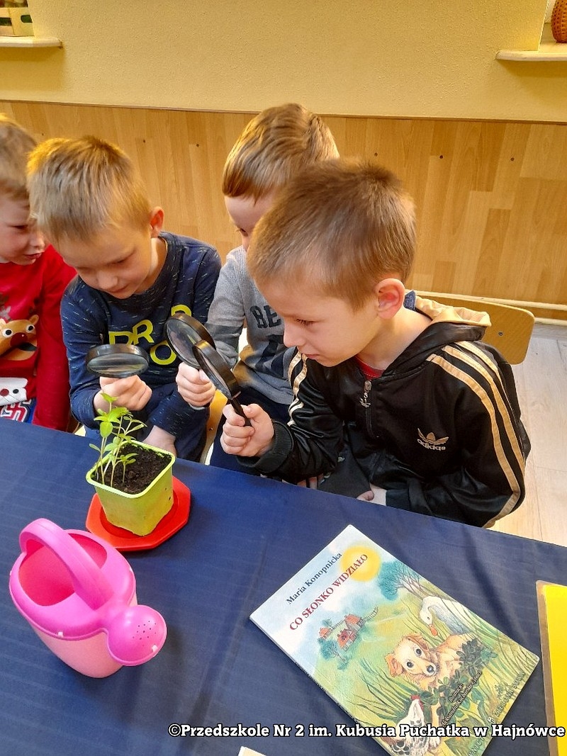 Dzieci patrzą przez lupy na roślinę.
