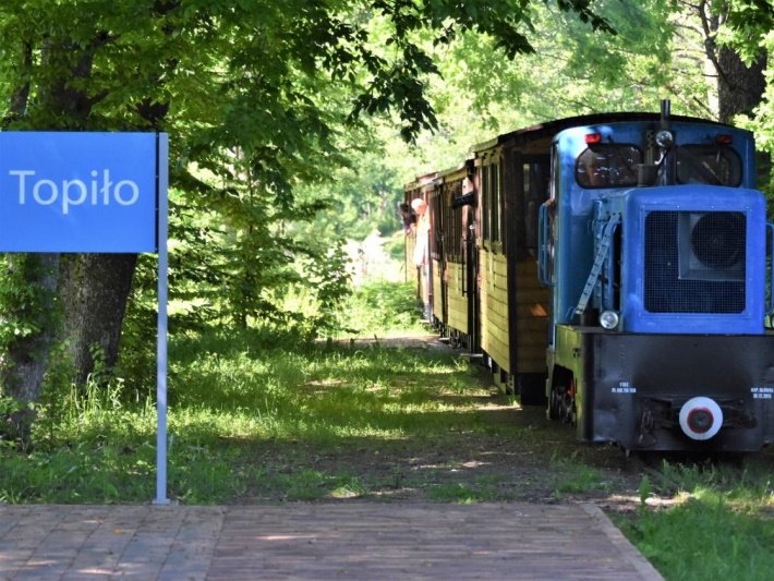 Zdjęcie pociągu jadącego przez las, po lewej stronie niebieska tablicza z białym napisem "Topiło".