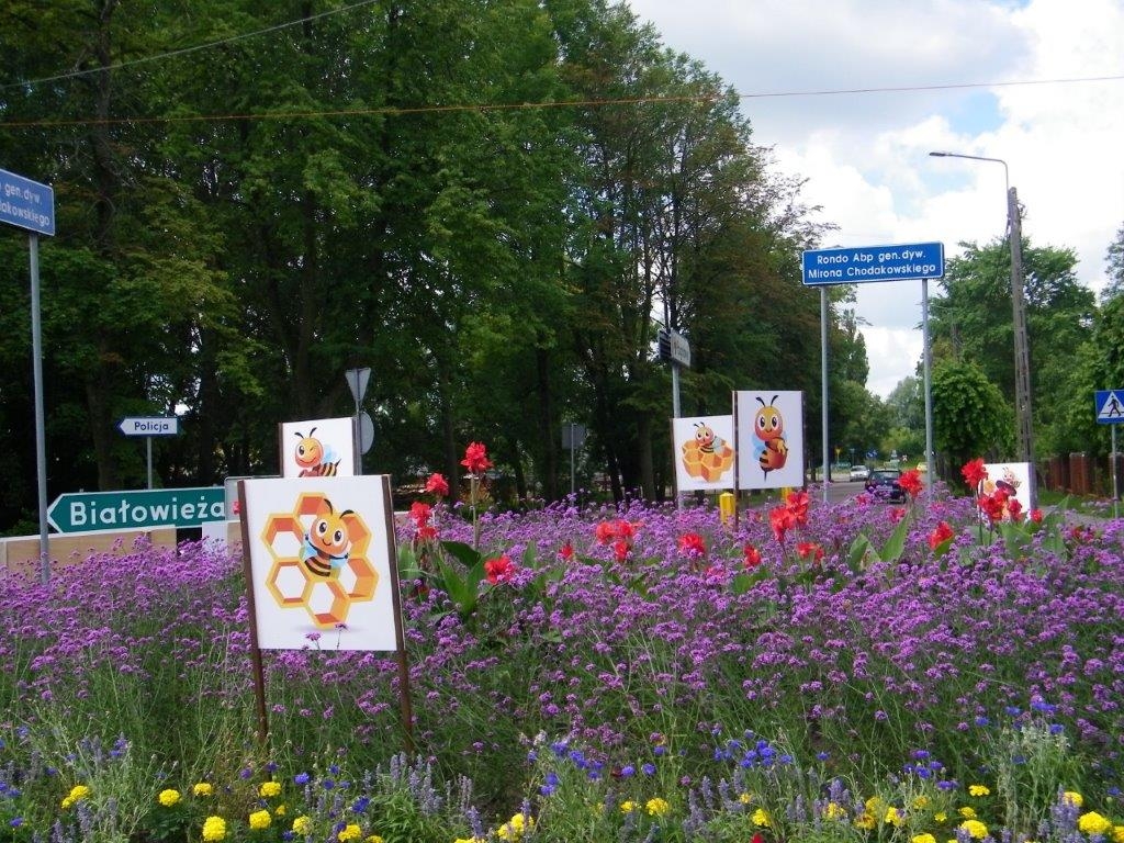 śród kolorowych kwiatów na rondzie znjadują się również tablice z grafiką psz