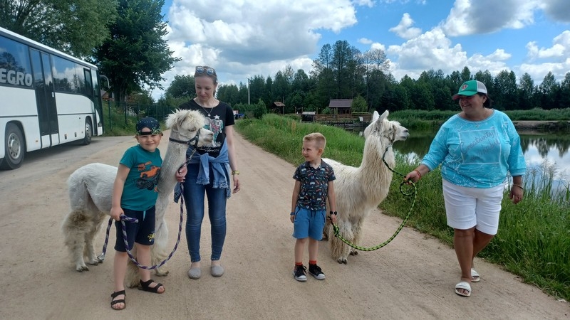 Jaskółki i Sówki z Przedszkola nr 1 karmiły alpaki