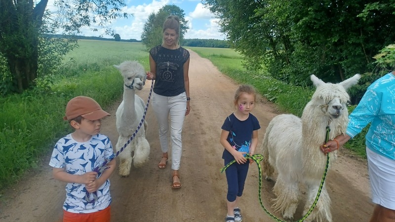 Jaskółki i Sówki z Przedszkola nr 1 karmiły alpaki