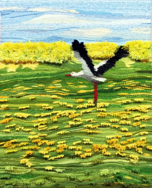 Bocian lecący nad skoszoną łąką.