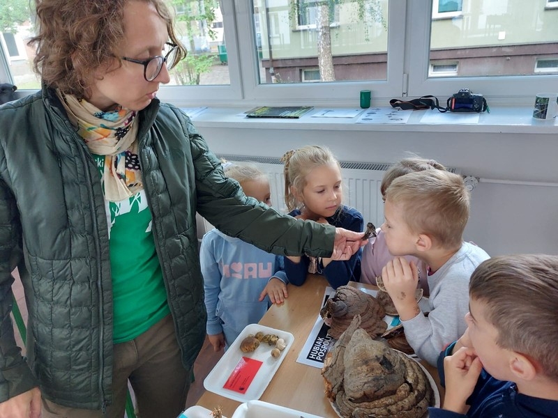 Przedszkolaki na wystawie grzybów - chłopiec wącha grzyby