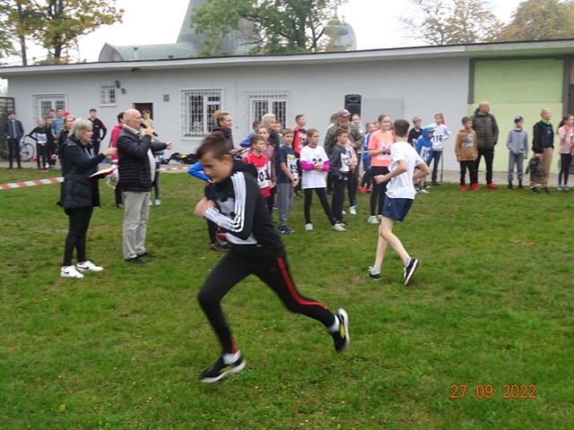 Ziana pałeczki