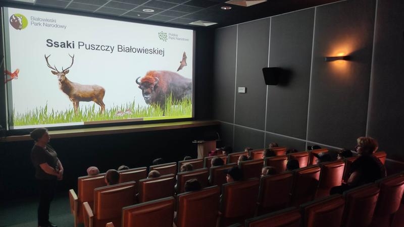 dzieci w sali kinowej